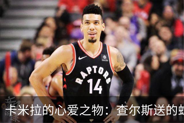卡米拉的心爱之物：查尔斯送的蛇形项链，戴了20多年和她绝配