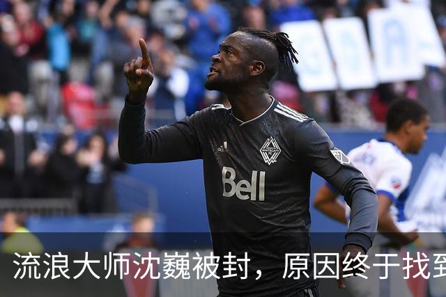 流浪大师沈巍被封，原因终于找到了